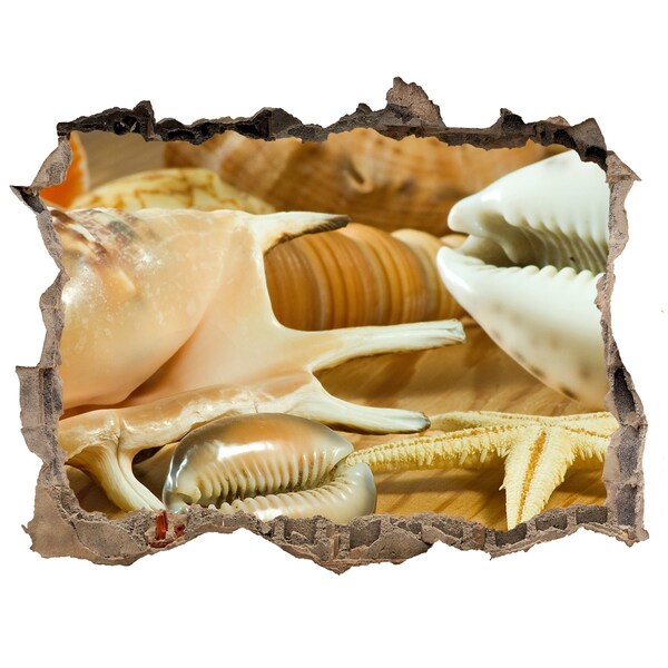 Zelfklevende 3D wandsticker illusie Zeeschatten