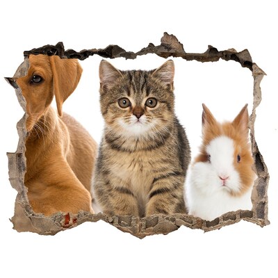 Wandsticker 3D gat met uitzicht Vrienden voor altijd