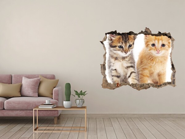 Wandsticker 3D gat met uitzicht Kattenvriendjes achter het gat