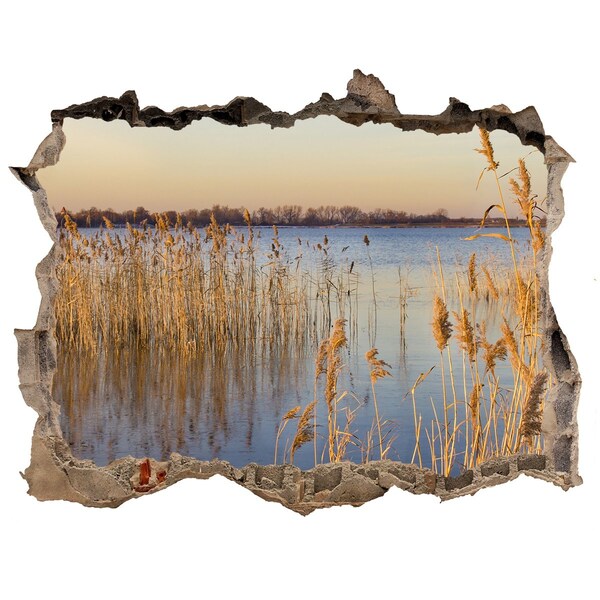 Zelfklevende 3D wandsticker illusie Baai met riet