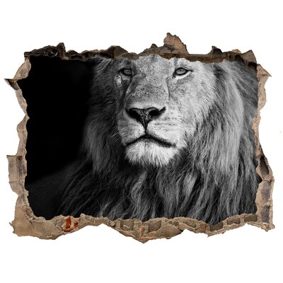 Wandsticker 3D gat met uitzicht Leeuw in een gat in de muur