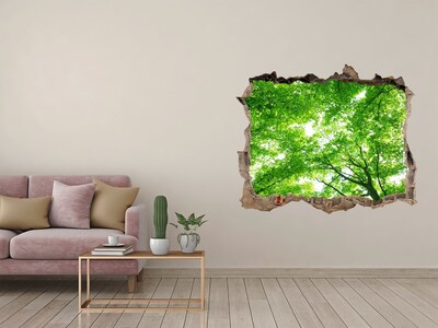 Wandsticker 3D gat met uitzicht Groen bos in een gat in de muur