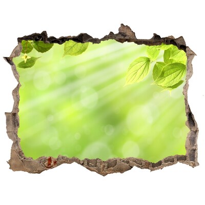 Zelfklevende muursticker 3D gat Groen paradijs achter de muur