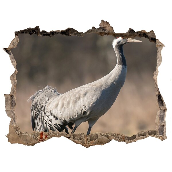 Wandsticker 3D doorkijk Kraanvogel in zijn natuurlijke habitat