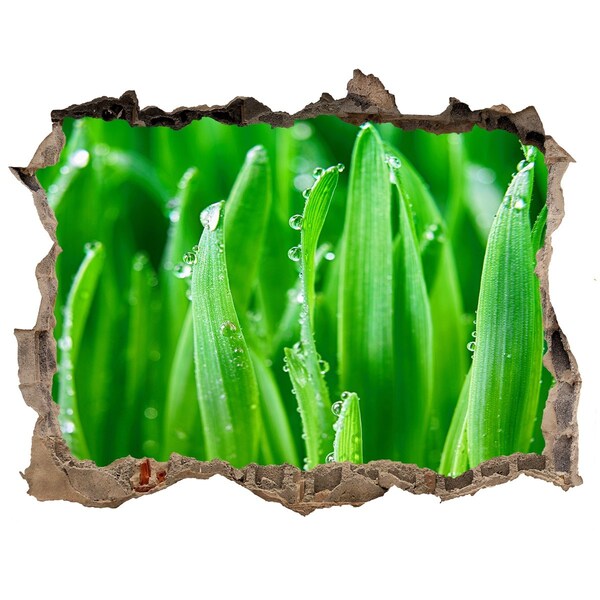 Zelfklevende 3D wandsticker illusie Groene weide met waterdruppels