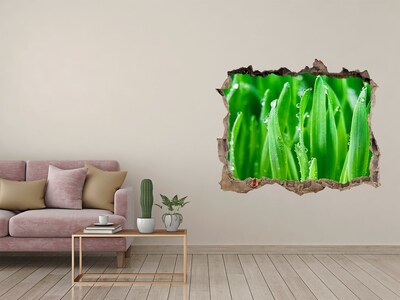 Zelfklevende 3D wandsticker illusie Groene weide met waterdruppels