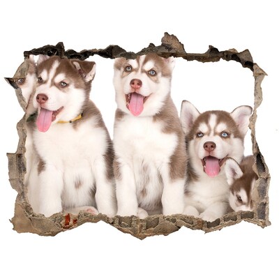 Zelfklevende 3D wandsticker illusie Huskypuppy's achter een gat in de muur
