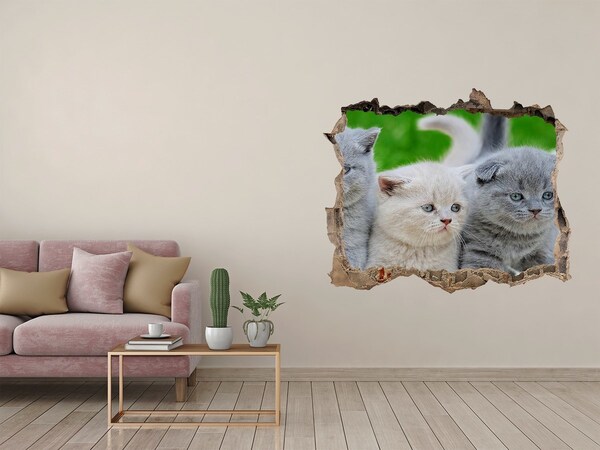 Wandsticker 3D gat met uitzicht Kittens in een gat in de muur