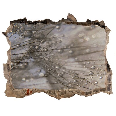 Zelfklevende muursticker 3D gat Waterdruppels op glas