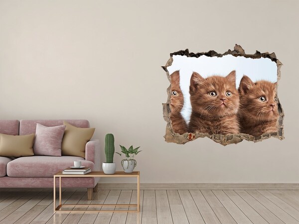 Zelfklevende 3D wandsticker illusie Kittens achter de muur