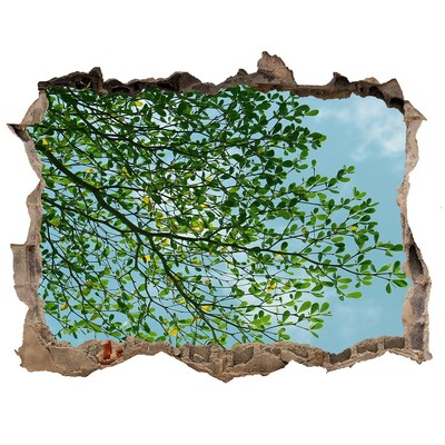Wandsticker 3D doorkijk Groene bladeren onder een blauwe hemel