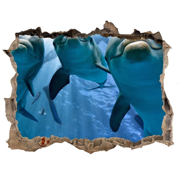 Zelfklevende 3D wandsticker illusie Onderwaterwereld met dolfijnen