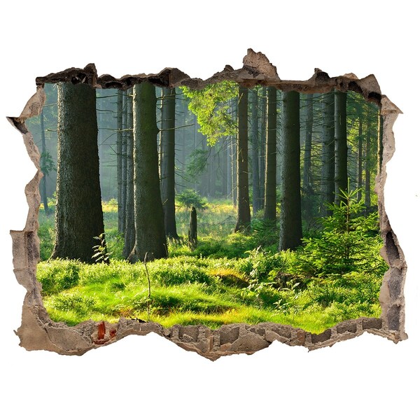 Zelfklevende 3D wandsticker illusie Groen bos in de zonnestralen