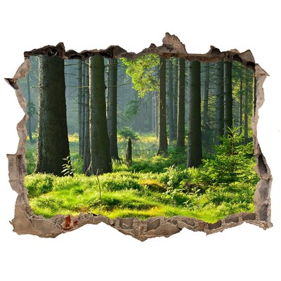 Zelfklevende 3D wandsticker illusie Groen bos in de zonnestralen