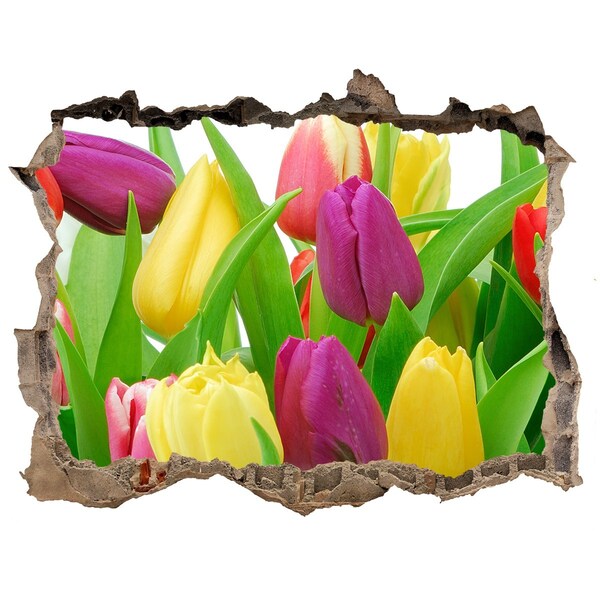 Wandsticker 3D gat met uitzicht Een bloemenparadijs met tulpen.