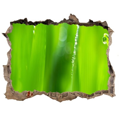 Wandsticker 3D gat met uitzicht Groene weide met waterdruppels