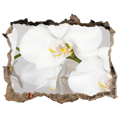 Zelfklevende 3D wandsticker illusie Bloemen in beton