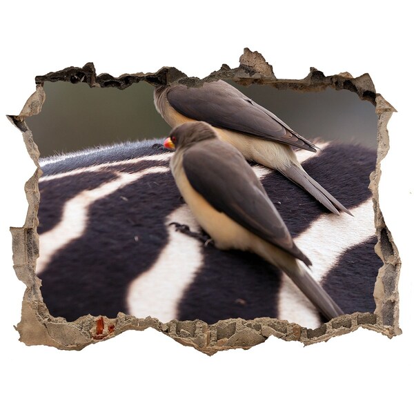 Wandsticker 3D gat met uitzicht Vogels op de rug van een zebra
