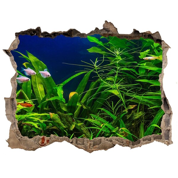 Zelfklevende 3D wandsticker illusie De onderwaterwereld in het aquarium