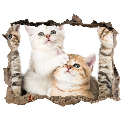 Zelfklevende muursticker 3D gat Kittens in een gat in de muur
