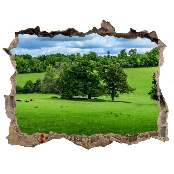 Wandsticker 3D gat met uitzicht Groene weide met bomen