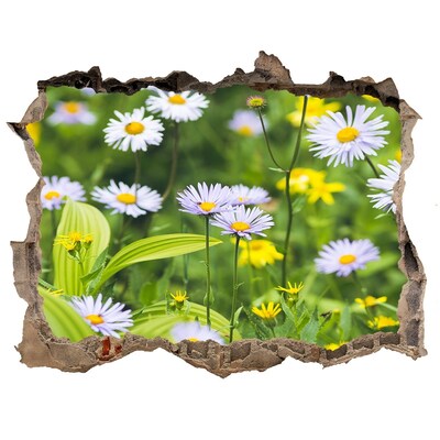 Wandsticker 3D gat met uitzicht Een bloemenparadijs achter de muur.