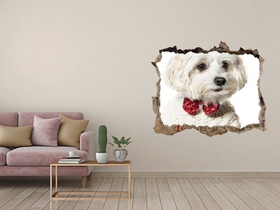 Wandsticker 3D gat met uitzicht Hond in een trui door een gat in de muur