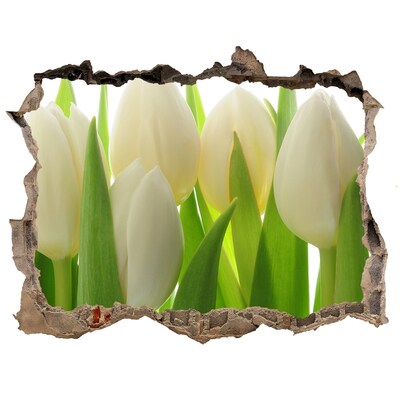 Wandsticker 3D gat met uitzicht Tulpen in het daglicht