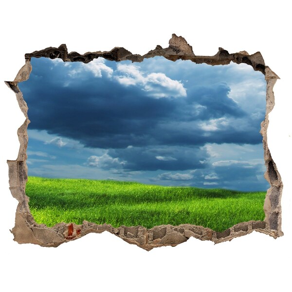 Wandsticker 3D doorkijk Groene weide onder de wolken