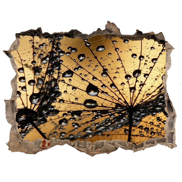 Wandsticker 3D gat met uitzicht Druppels op de bladeren