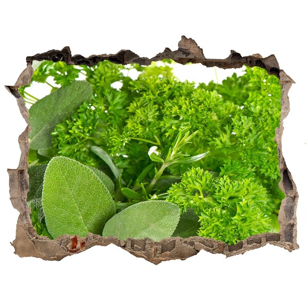 Zelfklevende 3D wandsticker illusie Een groene oase in beton.