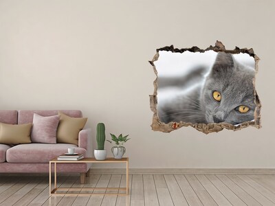 Wandsticker 3D gat met uitzicht Grijze kat in een gat in de muur