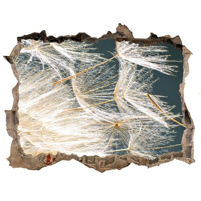 Zelfklevende 3D wandsticker illusie Een bloemenlandschap achter het gat