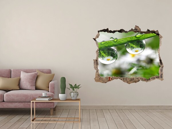 Wandsticker 3D gat met uitzicht Bloemenoase met waterdruppels