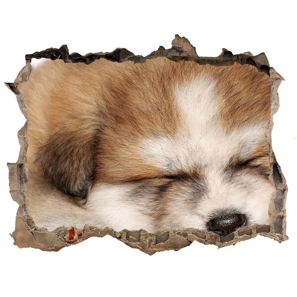 Wandsticker 3D doorkijk Schattige puppy in een gat in de muur