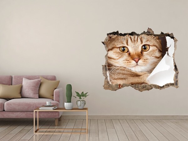 Wandsticker 3D gat met uitzicht Kat in een gat in de muur
