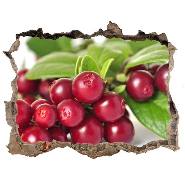 Wandsticker 3D gat met uitzicht Fruity Hole in the Wall