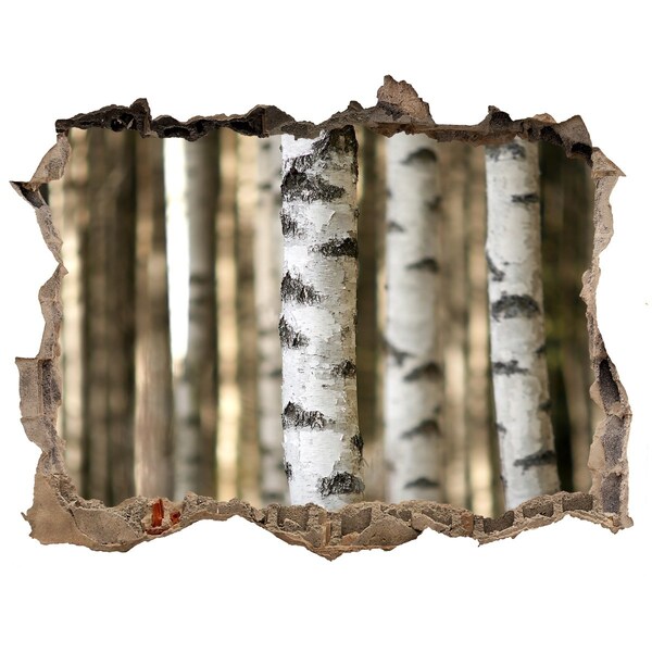 Wandsticker 3D gat met uitzicht Een oase in het bos, maar dan in beton.