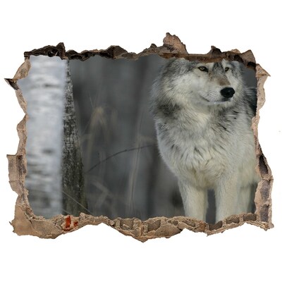 Zelfklevende muursticker 3D gat Wolf in zijn natuurlijke habitat