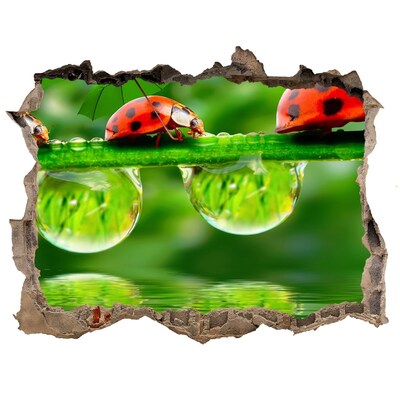 Zelfklevende muursticker 3D gat Een vleugje natuur met een lieveheersbeestje