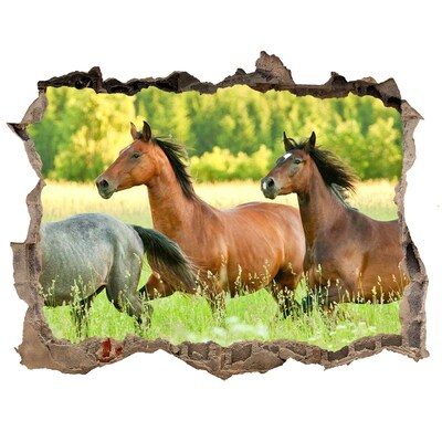 Zelfklevende muursticker 3D gat Rennende paarden in de natuur