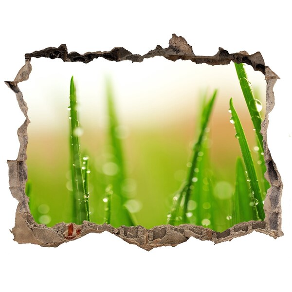Wandsticker 3D gat met uitzicht Groene weide met waterdruppels
