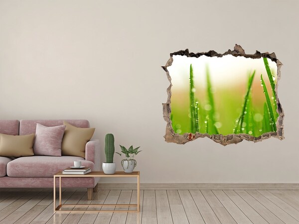 Wandsticker 3D gat met uitzicht Groene weide met waterdruppels