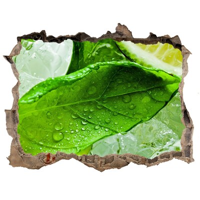 Zelfklevende 3D wandsticker illusie Verse muntblaadjes op ijs