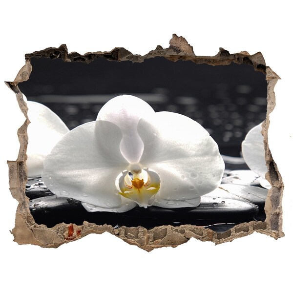 Zelfklevende 3D wandsticker illusie Orchideebloem op het water