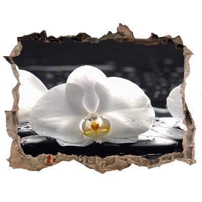 Zelfklevende 3D wandsticker illusie Orchideebloem op het water