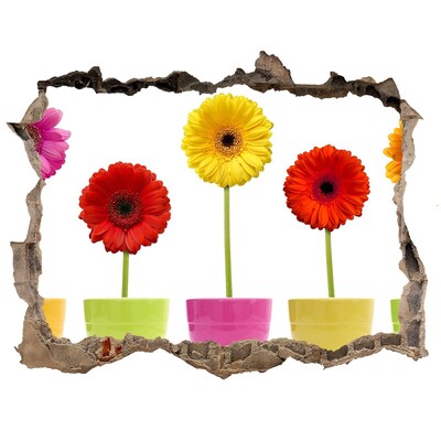 Zelfklevende 3D wandsticker illusie Bloemen in potten door een gat in de muur