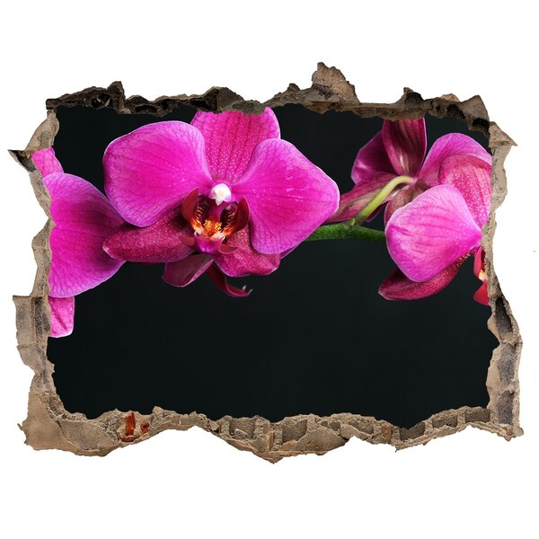 Wandsticker 3D gat met uitzicht Orchidee door de muur