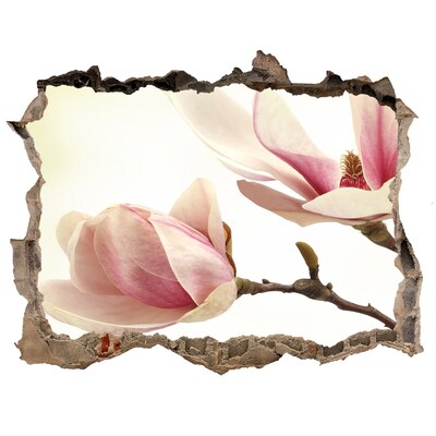 Wandsticker 3D doorkijk Magnoliabloem in beton