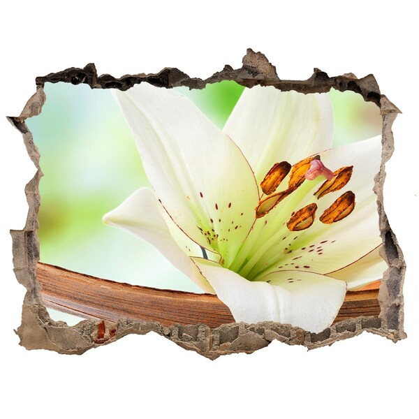 Wandsticker 3D gat met uitzicht Een bloemenparadijs in beton.